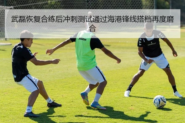 武磊恢复合练后冲刺测试通过海港锋线搭档再度磨合